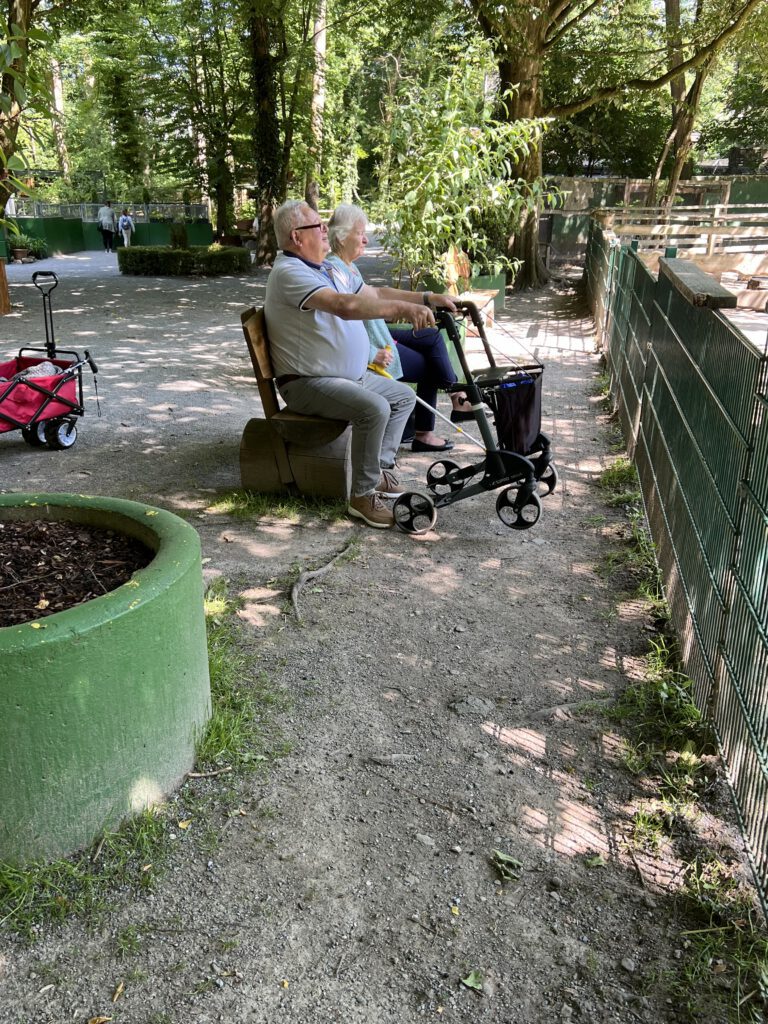 Zwei Senioren sitzen auf einer Bank und beobachten die Tiere.