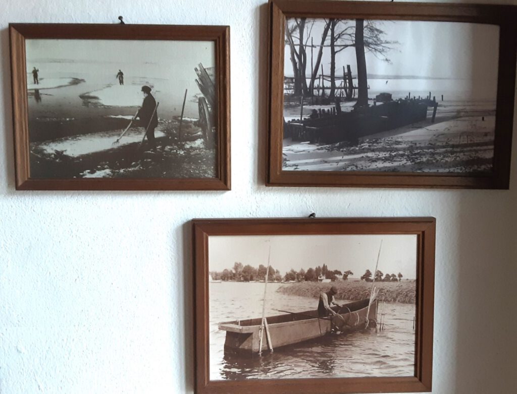 Verschiedene gerahmte Bilder